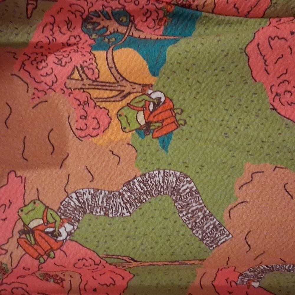 NWT, Frogs In A Park, Playing Guitar, Vibrant Ladies 2X, Smak Parlour - Picture 2 of 4
